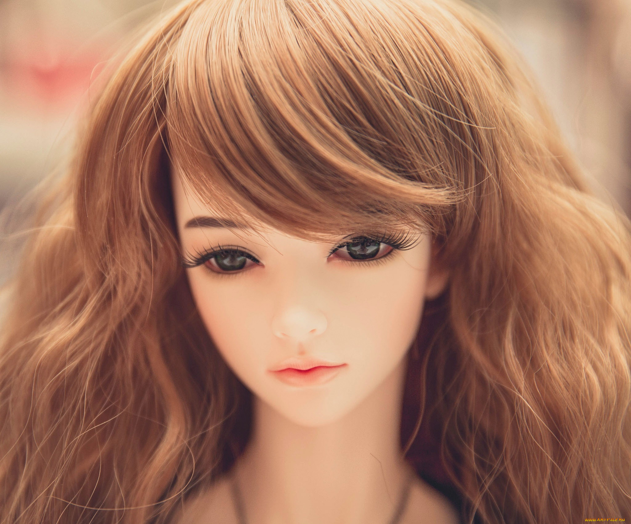 , , , doll, , toy